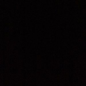 Meet your Posher, Phillip